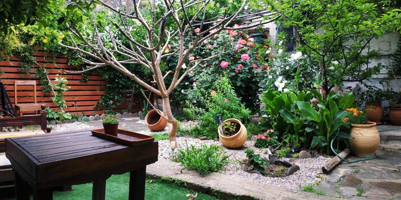 Plumeria Flowery Agios Kirykos  Ngoại thất bức ảnh