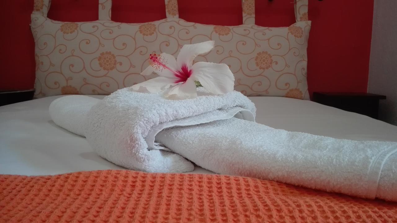 Plumeria Flowery Agios Kirykos  Ngoại thất bức ảnh